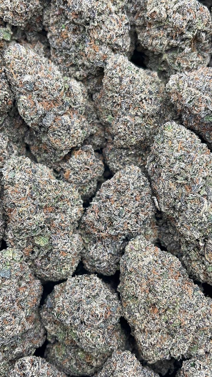 Purple Candy Runtz - PK200