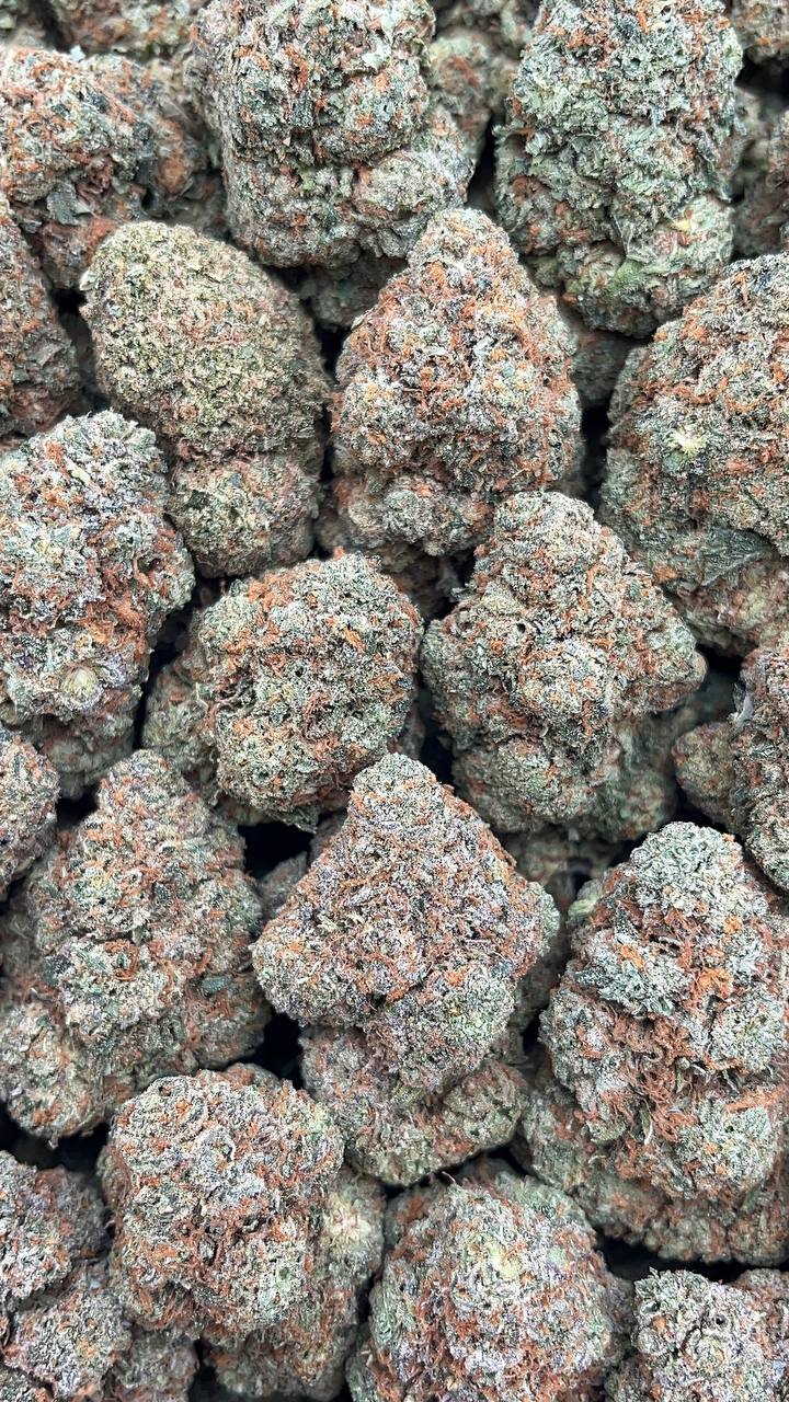 Secret Weapon - PK373