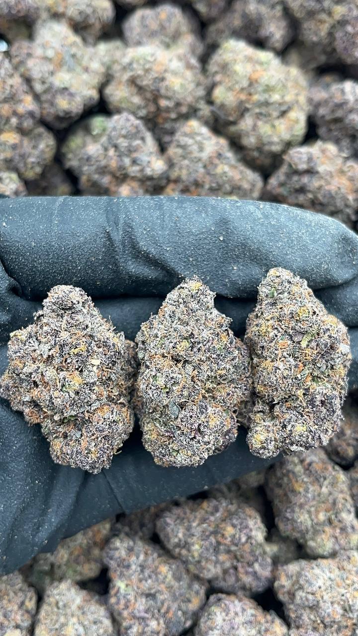 Cherry Vortex - PK665