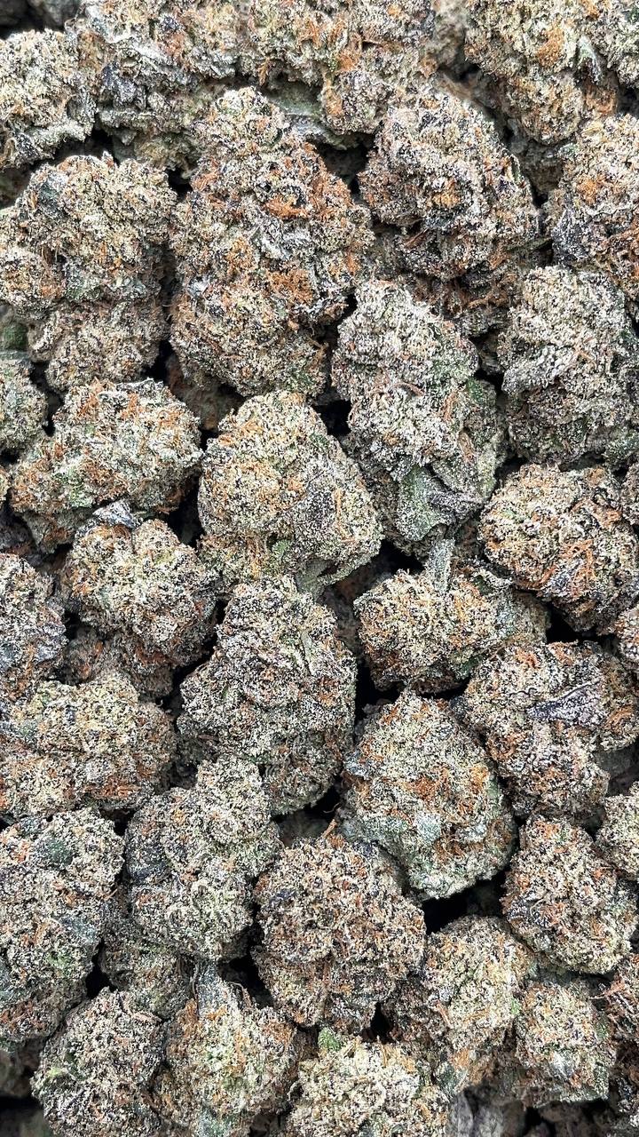 White Rhino Mediums - PK651