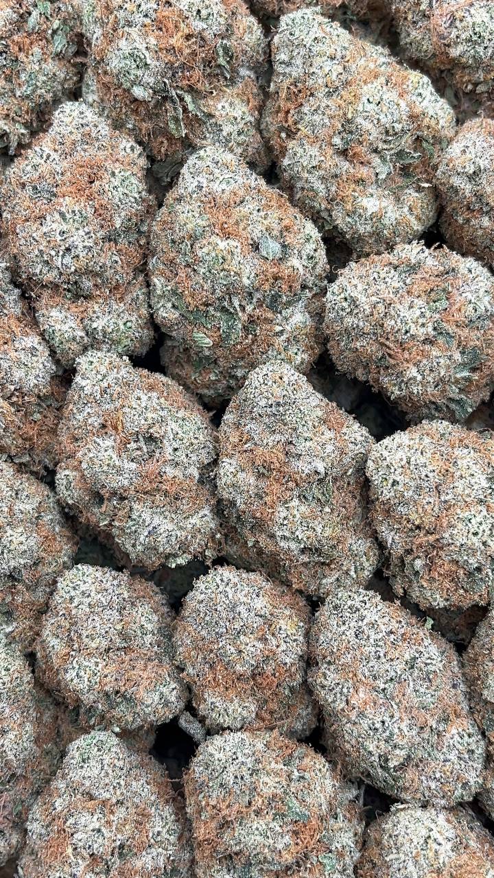 Carbon Fiber - PK671