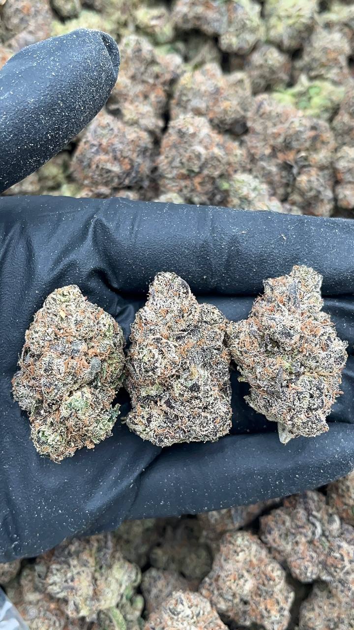 Lemon Cherry Fritter - PK695