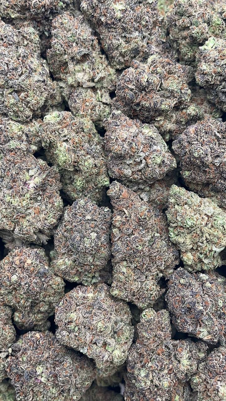 Sunset black ice - PK654