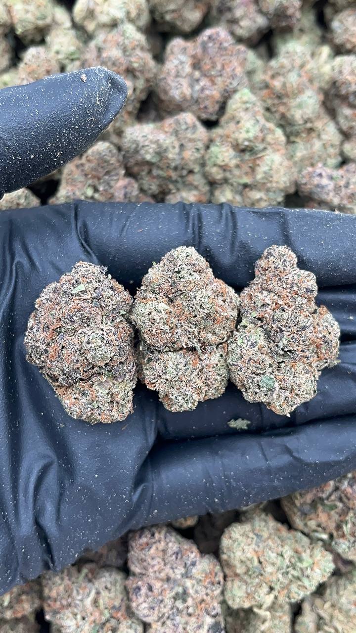 Strawpicanna - PK674