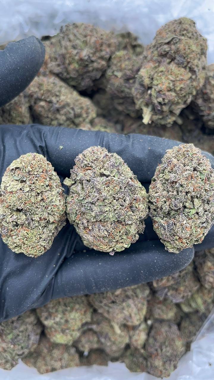 Strawberry Shortcake - PK633