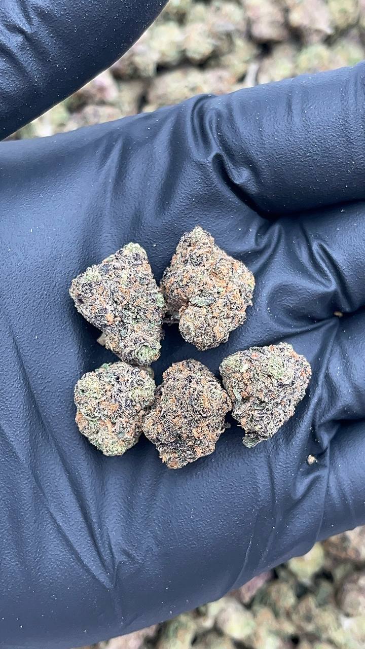 🔥Special Deal🔥 Permanent Marker Smalls - PK628