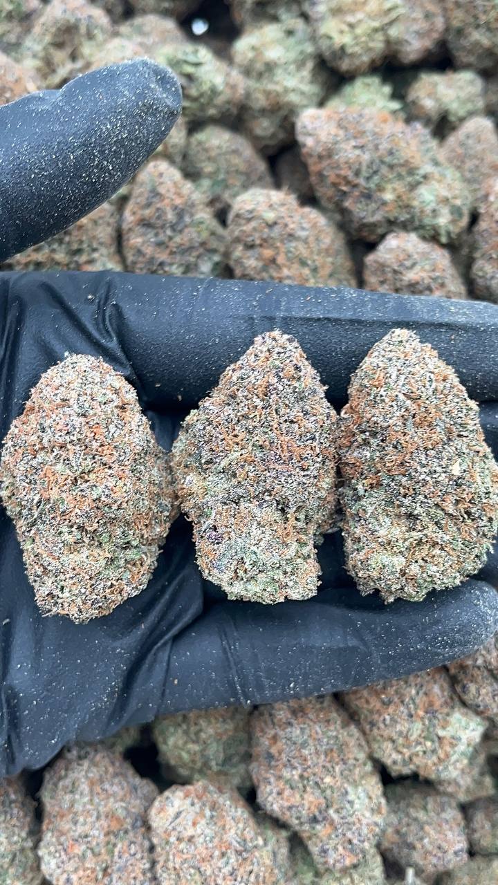 Rainbow Belts - PK613