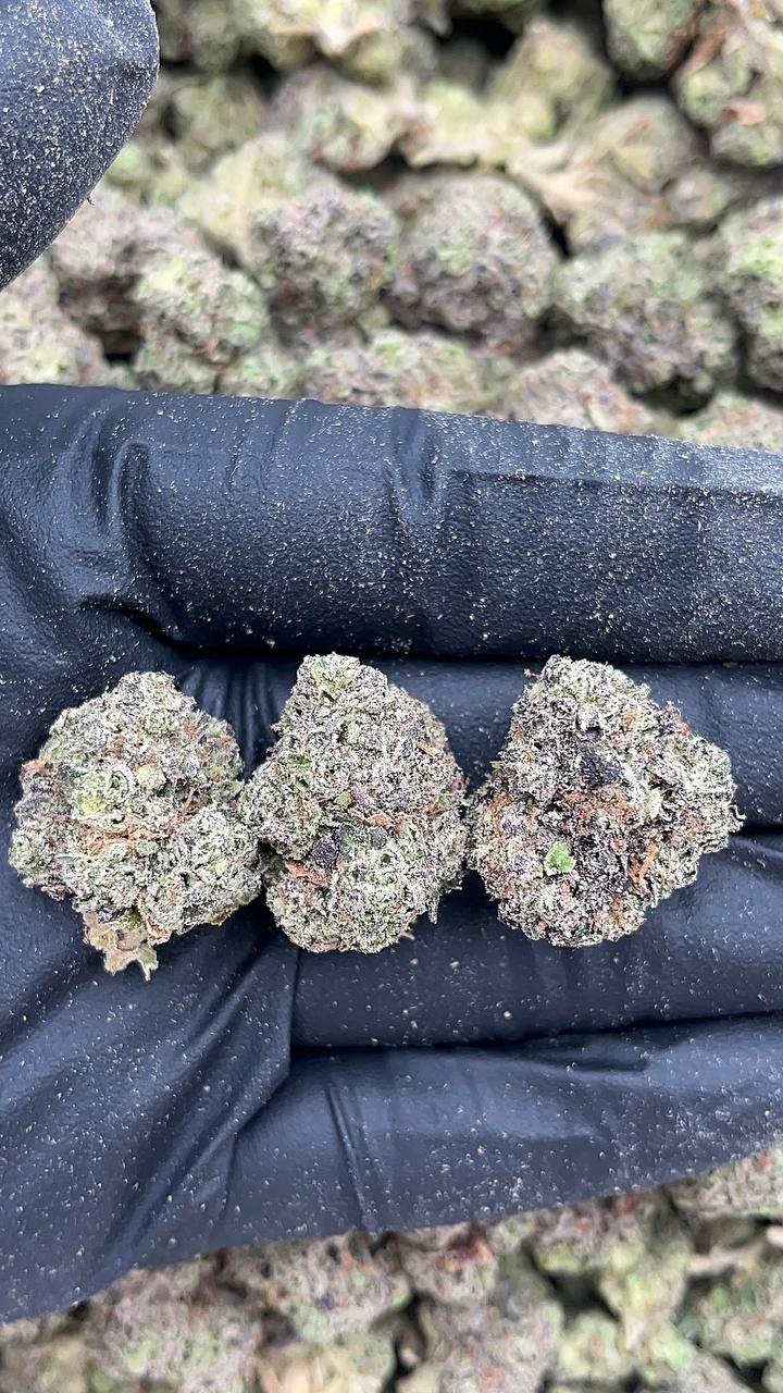 Chem Chillz Mediums - PK620