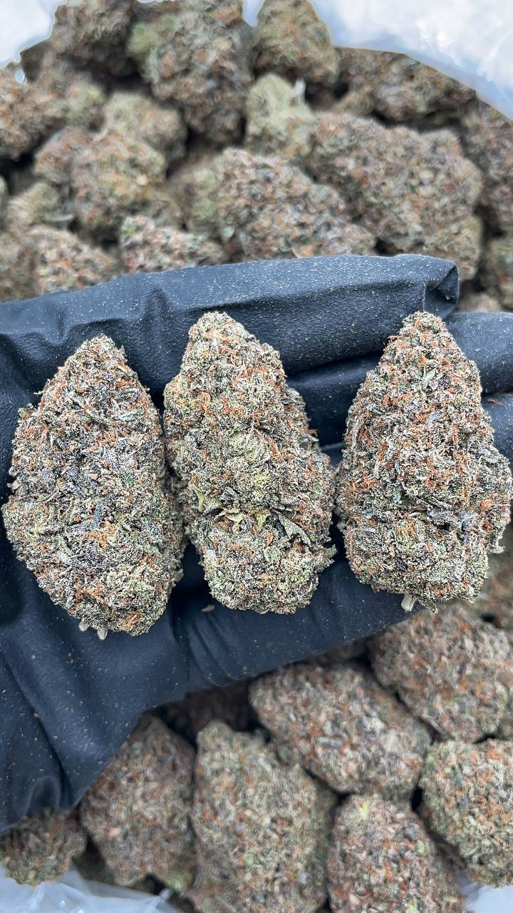 🔥Special Items 🔥 Zkittlez Runtz - PK148