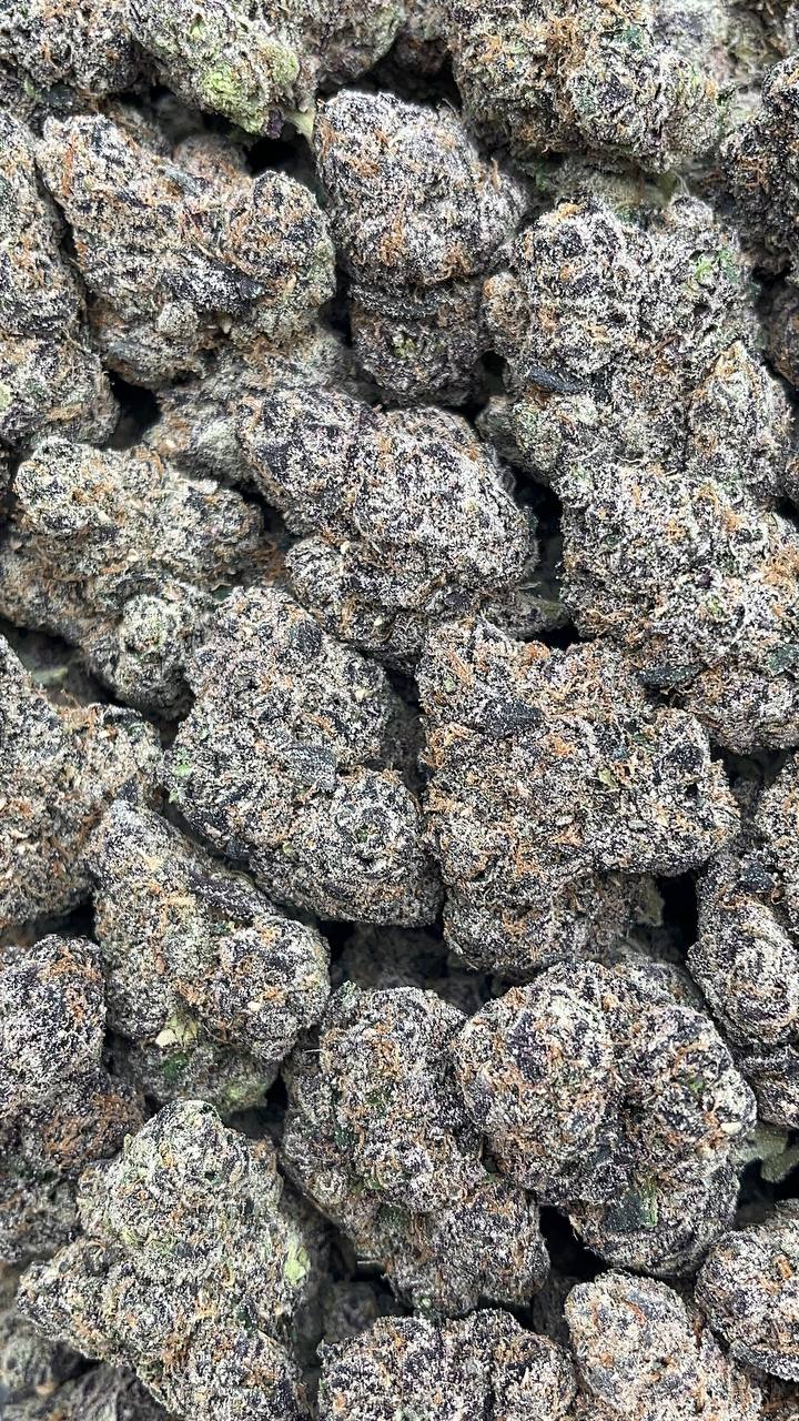 Rainbow Reserve - PK173