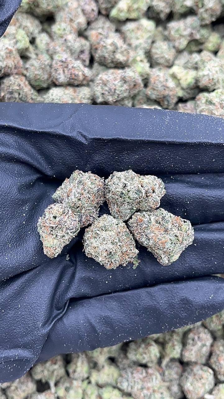 Cherry Sherbet Mediums - PK196 (Licensed)
