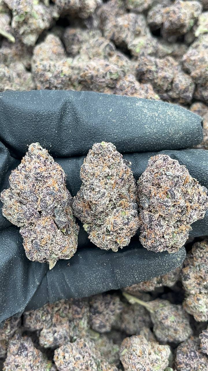 Cherry Popperz - PK175