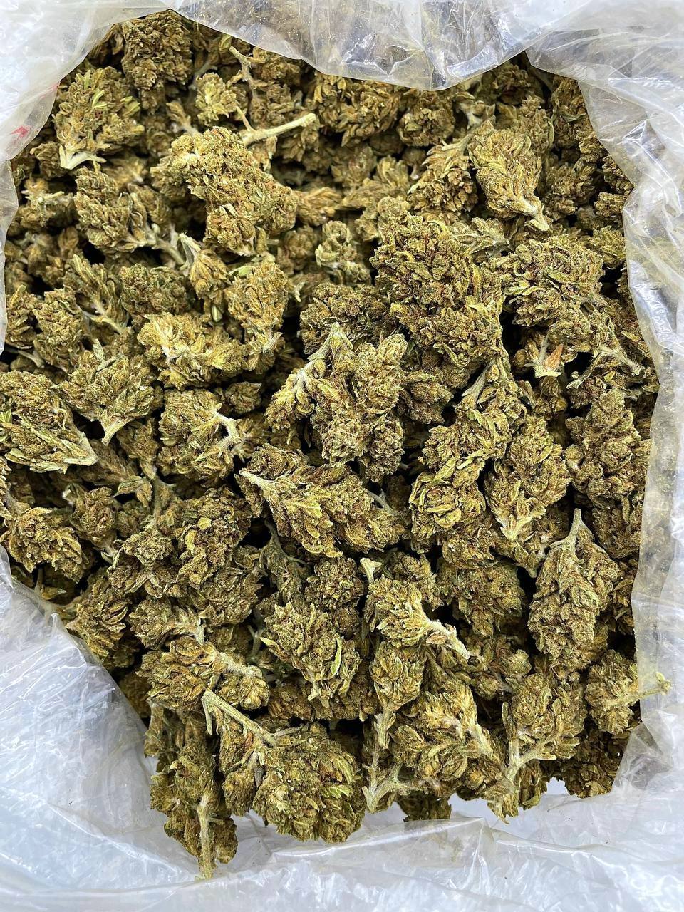 FUNFETTI SMOREZ - ML206SW